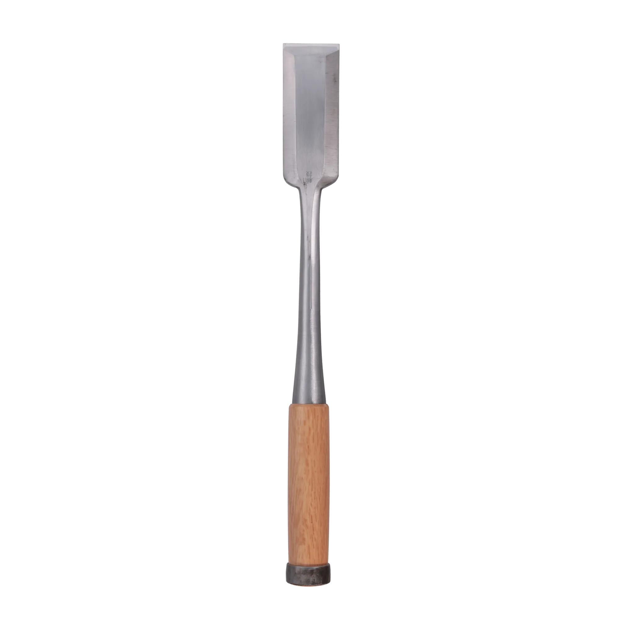 Anaya Nomi - 42mm